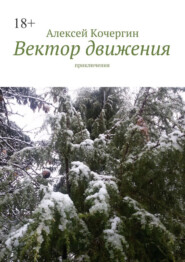 бесплатно читать книгу Вектор движения. Приключения автора Алексей Кочергин