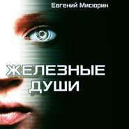 бесплатно читать книгу Железные души автора Евгений Мисюрин