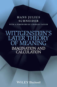 бесплатно читать книгу Wittgenstein's Later Theory of Meaning. Imagination and Calculation автора Hans Schneider