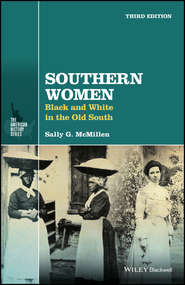 бесплатно читать книгу Southern Women. Black and White in the Old South автора Sally McMillen