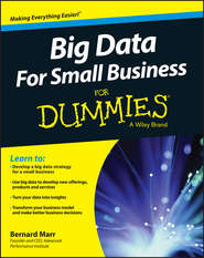 бесплатно читать книгу Big Data For Small Business For Dummies автора Бернард Марр