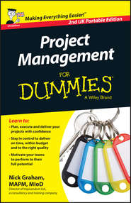 бесплатно читать книгу Project Management for Dummies автора Nick Graham