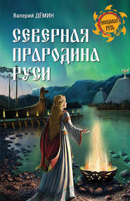 бесплатно читать книгу Северная прародина Руси автора Валерий Демин