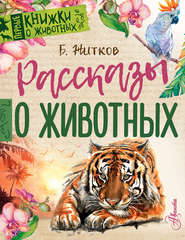 бесплатно читать книгу Рассказы о животных автора Борис Житков