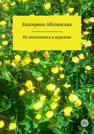 бесплатно читать книгу Из мегаполиса в деревню автора Екатерина Абозянская