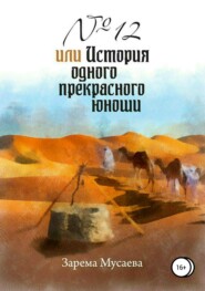 бесплатно читать книгу № 12, или История одного прекрасного юноши автора Зарема Мусаева
