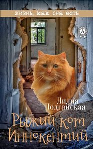 бесплатно читать книгу Рыжий кот Иннокентий автора Лилия Подгайская