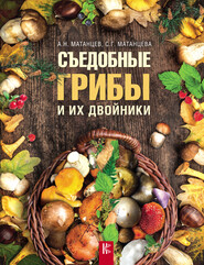 бесплатно читать книгу Съедобные грибы и их двойники автора Светлана Матанцева