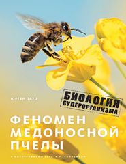 бесплатно читать книгу Феномен медоносной пчелы. Биология суперорганизма автора Юрген Тауц