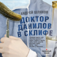 бесплатно читать книгу Доктор Данилов в Склифе автора Андрей Шляхов
