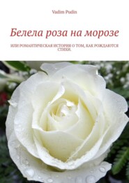 бесплатно читать книгу Белела роза на морозе. Или романтическая история о том, как рождаются стихи автора Vadim Pudin