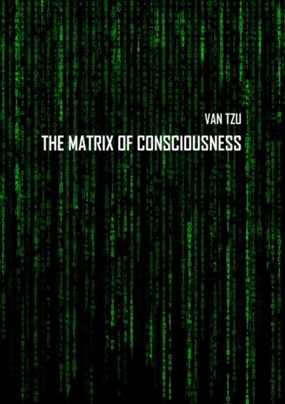 The Matrix of Consciousness
