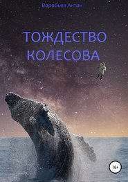 бесплатно читать книгу Тождество Колесова автора Антон Воробьев