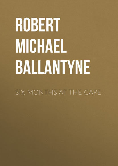 Six Months at the Cape