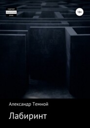 бесплатно читать книгу Лабиринт автора Александр Темной