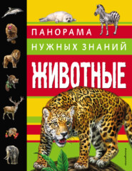 бесплатно читать книгу Животные. Панорама нужных знаний автора Юлия Школьник