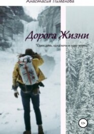 бесплатно читать книгу Дорога Жизни автора Анастасия Пименова