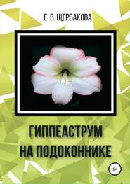 бесплатно читать книгу Гиппеаструм на подоконнике автора Елена Щербакова