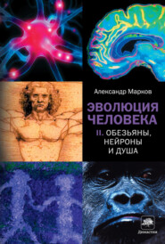 бесплатно читать книгу Обезьяны, нейроны и душа автора Александр Марков