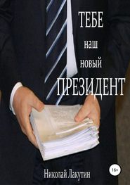 бесплатно читать книгу Тебе, наш новый президент автора Николай Лакутин