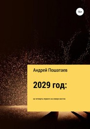 бесплатно читать книгу 2029 год: на четверть первого на северо-восток автора Андрей Пошатаев