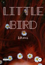 бесплатно читать книгу Little Bird автора S. Jeans