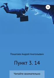 бесплатно читать книгу Пункт 3. 14 автора Андрей Пошатаев