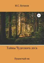 бесплатно читать книгу Тайны Чудесного леса. Пушистый ёж автора Иван Бутаков
