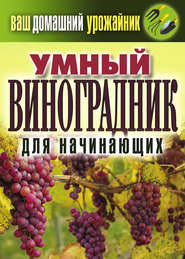 бесплатно читать книгу Умный виноградник для начинающих автора Екатерина Животовская