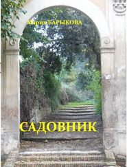 бесплатно читать книгу Садовник автора Мария Барыкова