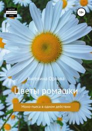 бесплатно читать книгу Цветы ромашки автора Ангелина Орлова
