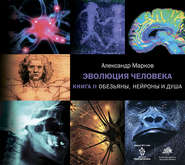 бесплатно читать книгу Обезьяны, нейроны и душа автора Александр Марков