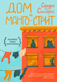 бесплатно читать книгу Дом на Манго-стрит автора Сандра Сиснерос