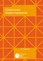 бесплатно читать книгу Социальное бюджетирование автора Ирина Калабихина
