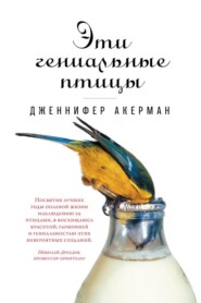 бесплатно читать книгу Эти гениальные птицы автора Дженнифер Акерман