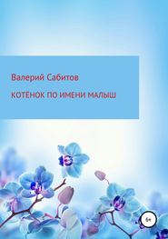 бесплатно читать книгу Котёнок по имени Малыш автора Валерий Сабитов