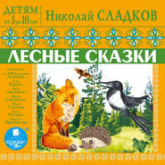 бесплатно читать книгу Детям от 3 до 10 лет. Лесные сказки автора Николай Сладков