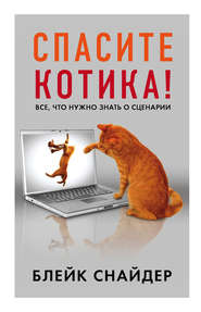 бесплатно читать книгу Спасите котика! автора Блейк Снайдер