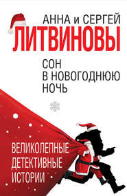 бесплатно читать книгу Сон в новогоднюю ночь (сборник) автора Анна и Сергей Литвиновы