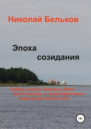 бесплатно читать книгу Эпоха созидания автора Николай Бельков