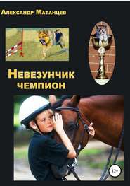бесплатно читать книгу Невезунчик-чемпион автора Александр Матанцев