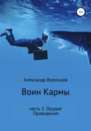 бесплатно читать книгу Воин Кармы. Часть 2. Орудие Провидения автора Александр Воронцов