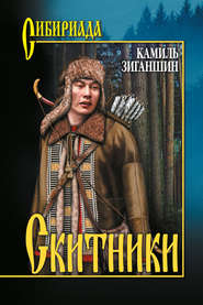 бесплатно читать книгу Скитники (сборник) автора Камиль Зиганшин