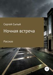 бесплатно читать книгу Ночная встреча автора Сергей Сытый