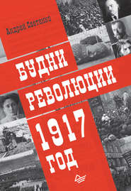 бесплатно читать книгу Будни революции. 1917 год автора Андрей Светенко