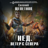 бесплатно читать книгу Ветер с севера автора Евгений Щепетнов