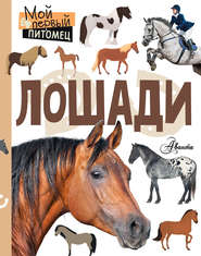 бесплатно читать книгу Лошади автора Ксения Сергеева