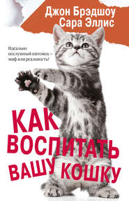 бесплатно читать книгу Как воспитать вашу кошку автора Джон Брэдшоу