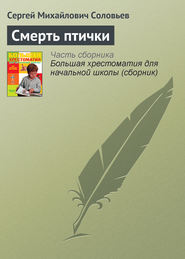 бесплатно читать книгу Смерть птички автора Сергей Соловьёв