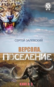 бесплатно читать книгу Поселение автора Сергей Залевский